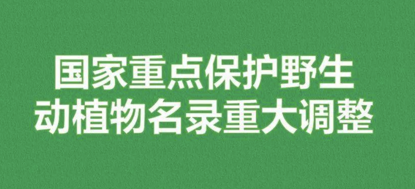 重磅！新版國(guó)家重點(diǎn)保護(hù)野生植物名錄公布，58種/屬列入一級(jí)保護(hù)，值得收藏